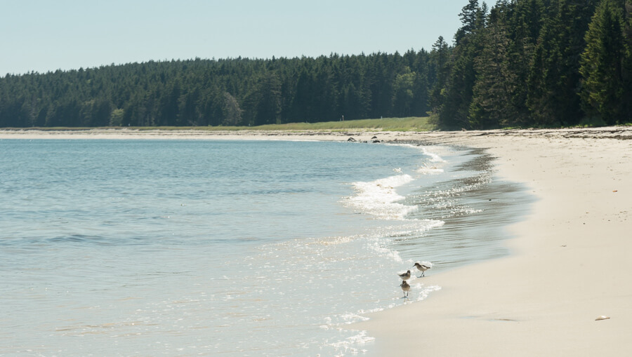 Roque Island Beach, Maine